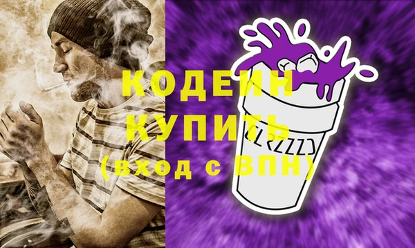 шишки Белокуриха