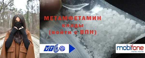 шишки Белокуриха
