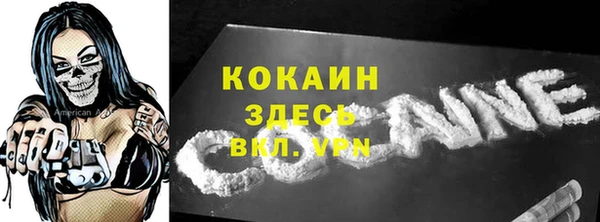 шишки Белокуриха