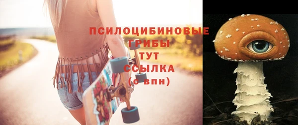 шишки Белокуриха