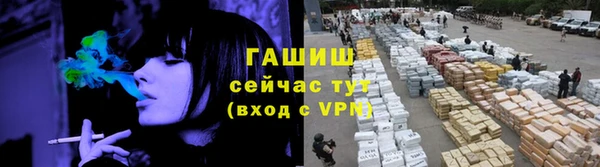 шишки Белокуриха