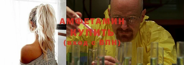 шишки Белокуриха