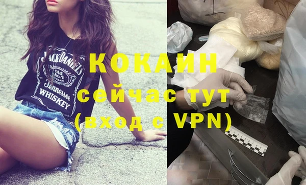 шишки Белокуриха