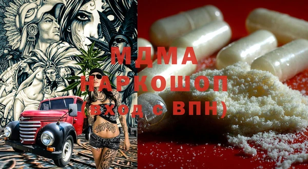 шишки Белокуриха