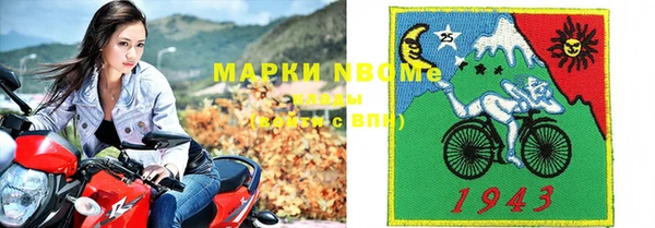 шишки Белокуриха