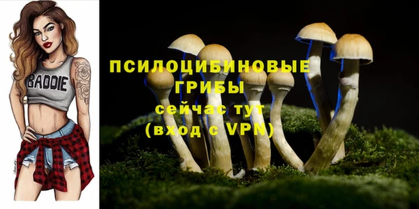 шишки Белокуриха