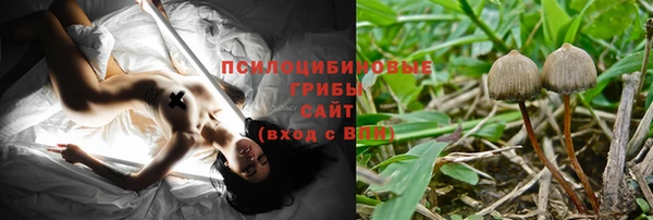 шишки Белокуриха