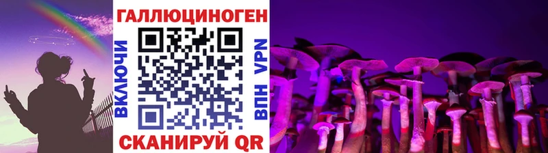 Купить где Рубцовск Галлюциногенные грибы MAGIC MUSHROOMS